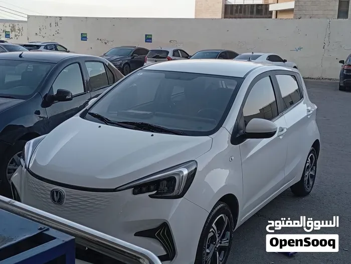 Changan E-Star