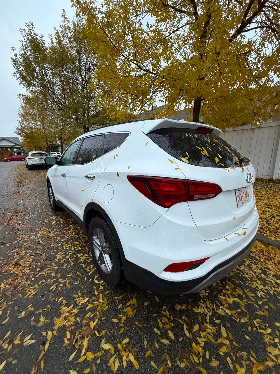 Hyundai Santa Fe 2018 photo 5