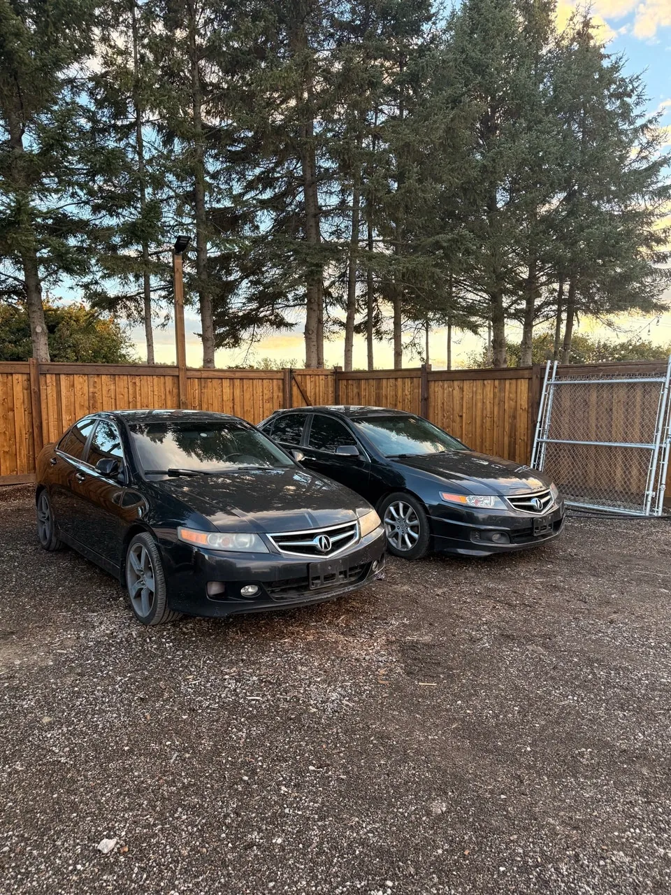Acura Tsx 2007 photo 2
