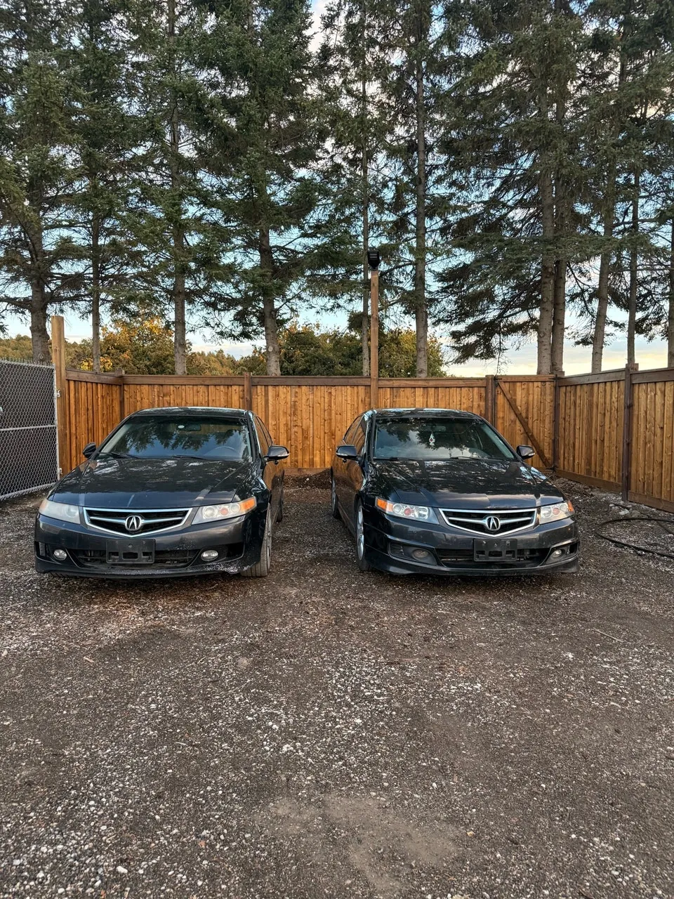 Acura Tsx