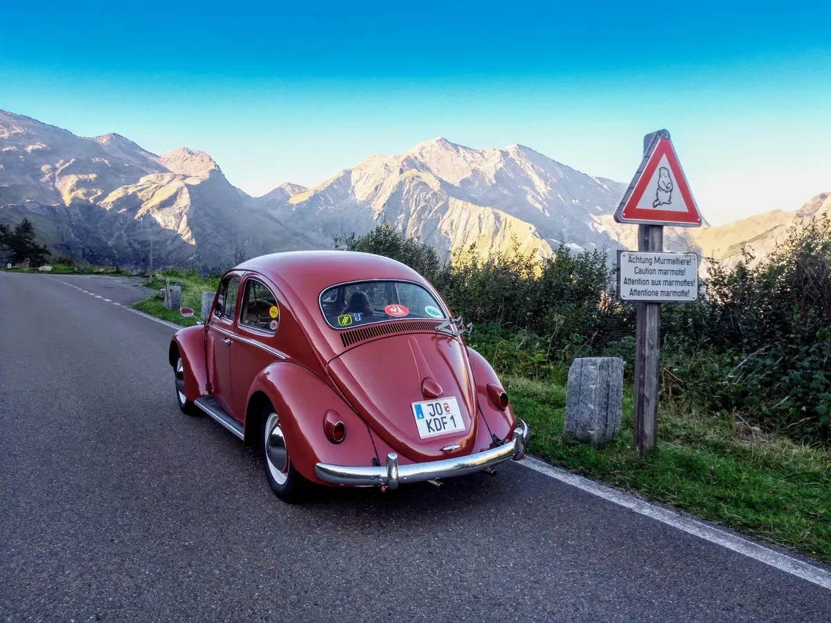 Volkswagen Käfer