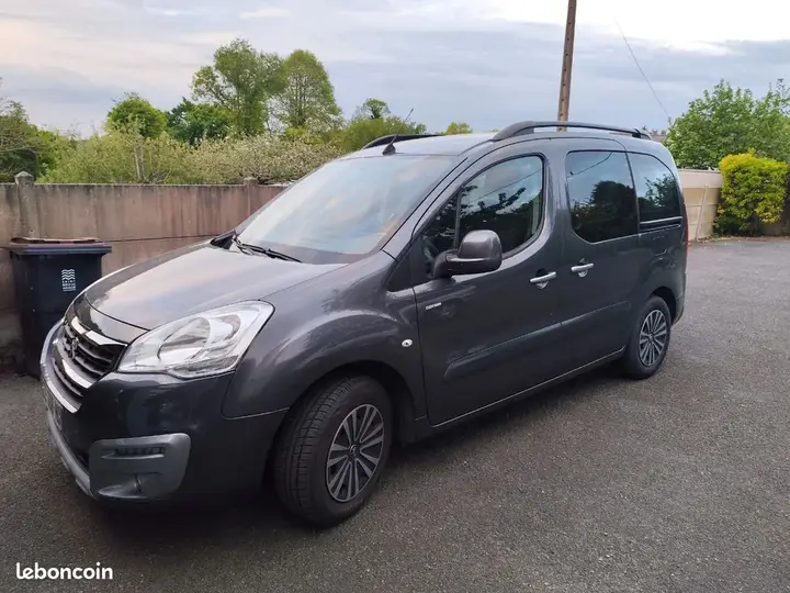 Peugeot Partner Tepee
