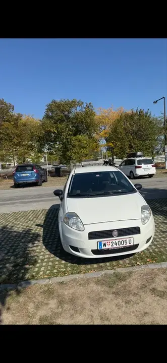 Fiat Punto 2011 photo 3