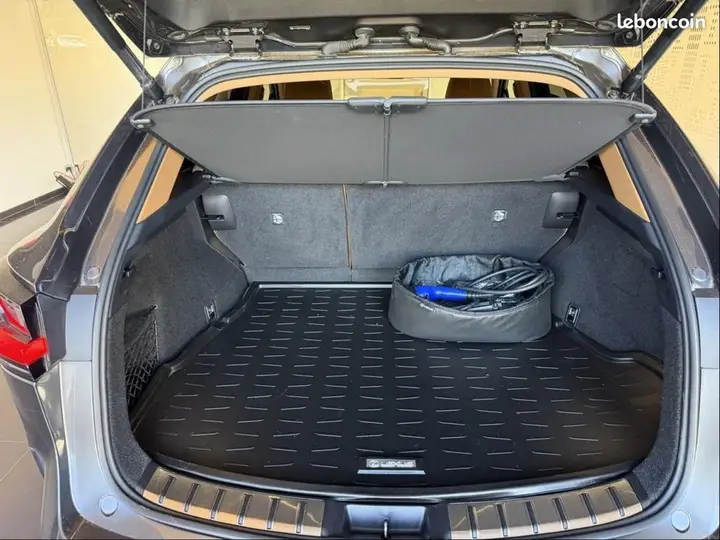 Lexus Nx 2022 photo 3