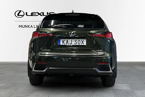 Lexus Nx300H 2021 photo 4