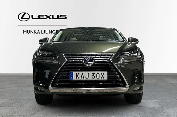 Lexus Nx300H 2021 photo 5
