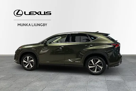 Lexus Nx300H 2021 photo 3