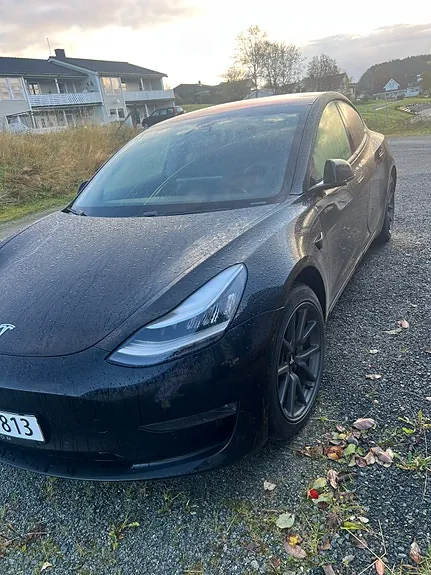 Tesla Model 3 2019 photo 2