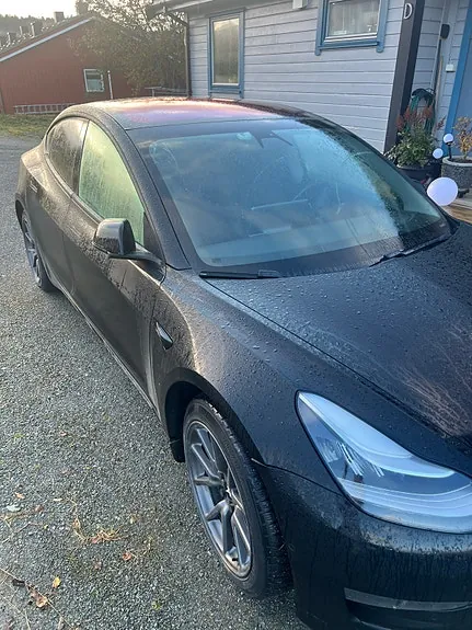 Tesla Model 3 2019 photo 3