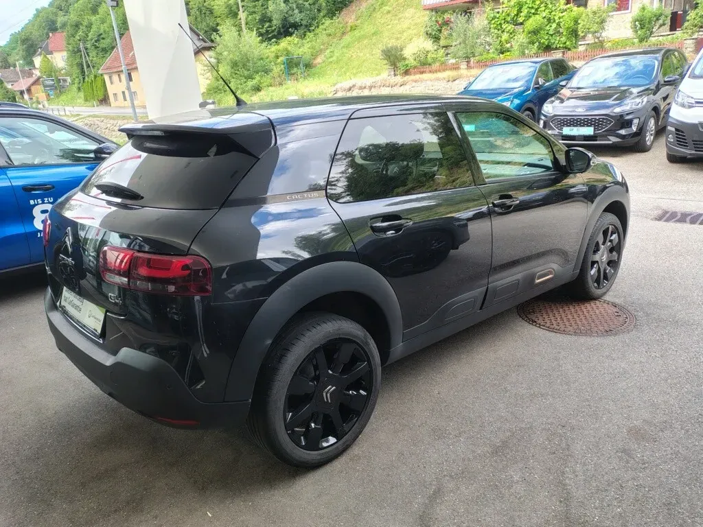 Citroen C4 Cactus 2019 photo 3