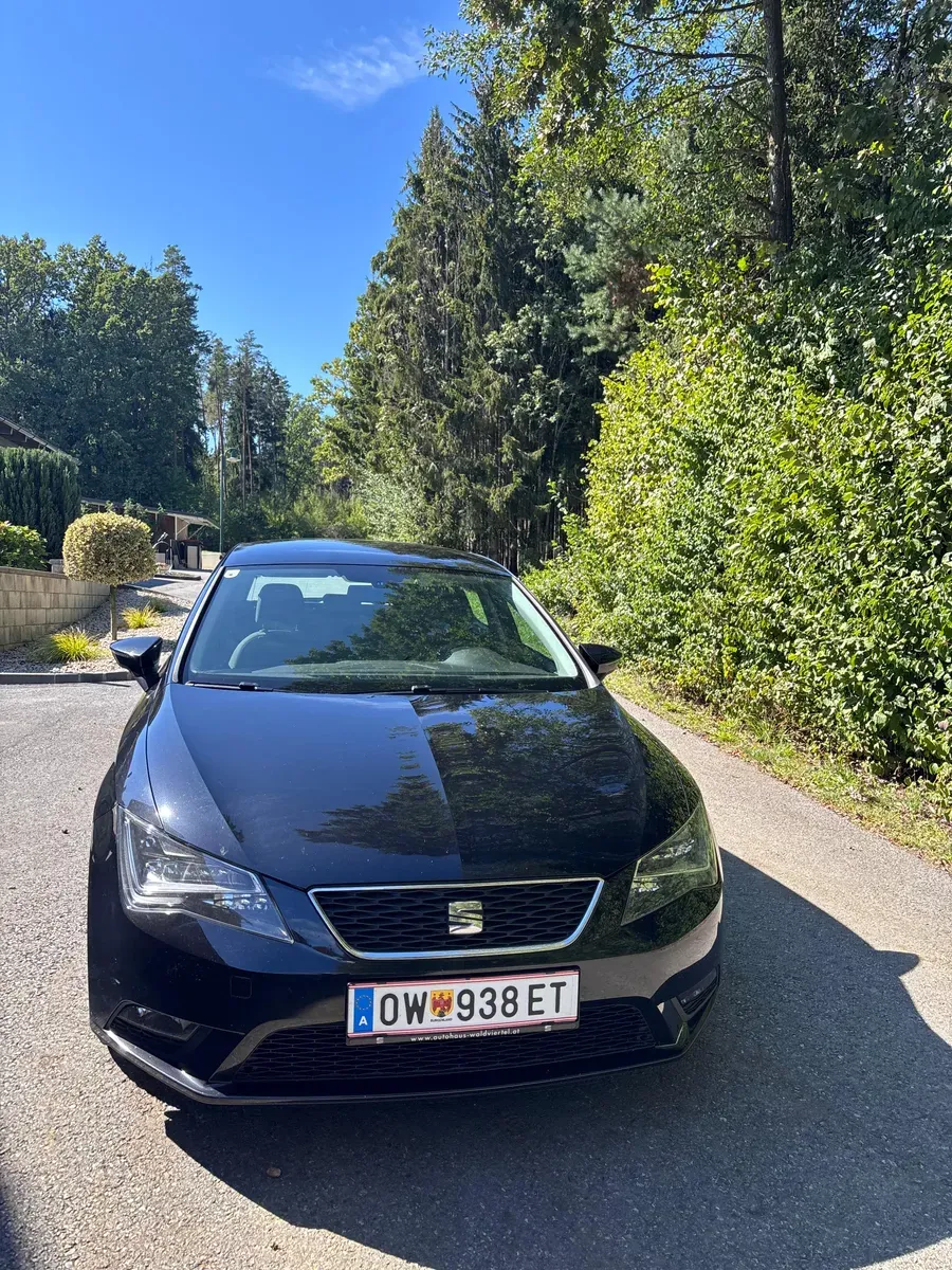 Seat Leon 2014 photo 2