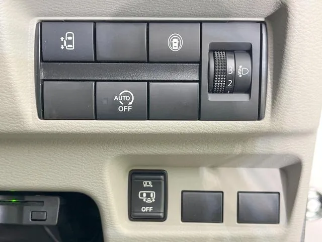 Nissan Luks X 2020 photo 4