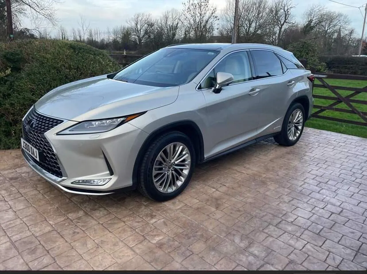 Lexus Rx 2019 photo 2