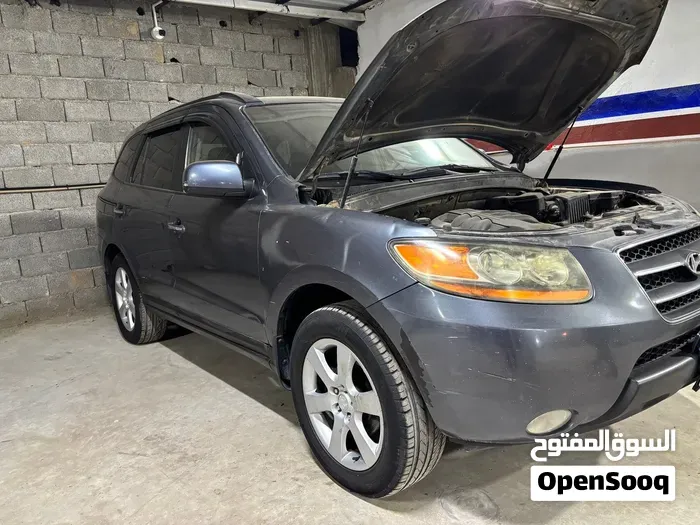 Hyundai Santa Fe 2009 photo 2