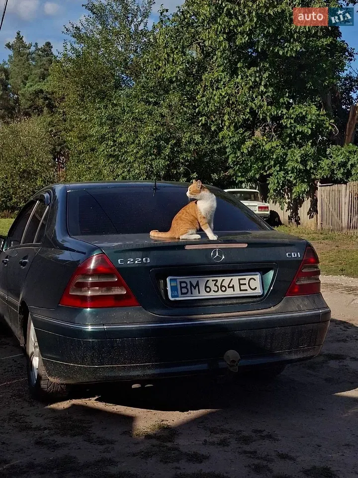 Mercedes-Benz C-Class 2001 photo 4