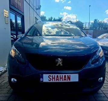 Peugeot 2008 2019 photo 3