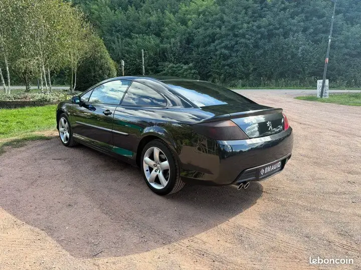 Peugeot 407 2007 photo 2