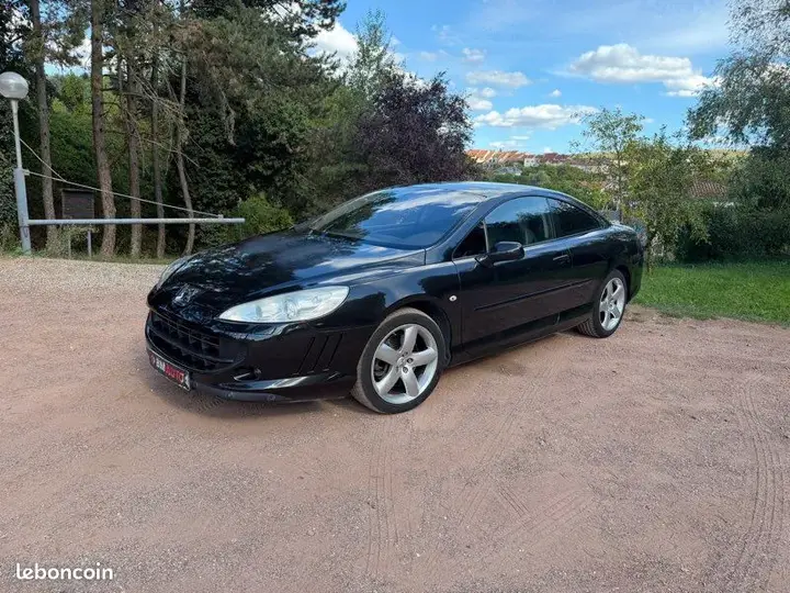 Peugeot 407 2007 photo 5