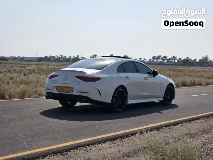Mercedes-Benz Cls-Class 2020 photo 4