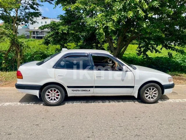 Toyota Corolla 1996 photo 3