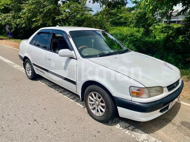 Toyota Corolla 1996 photo 2
