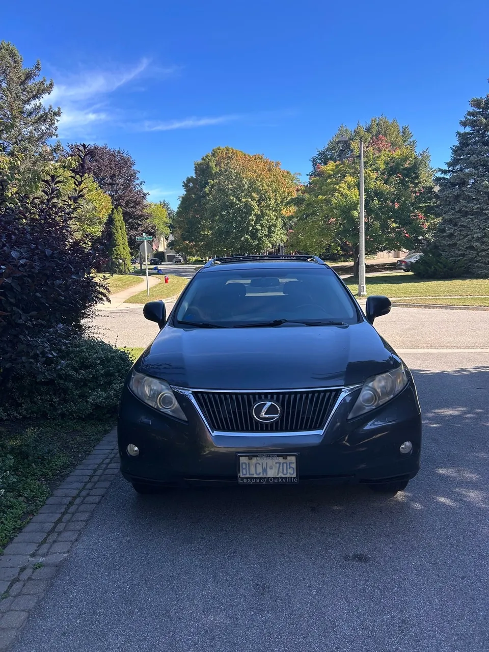 Lexus Rx350 2011 photo 3