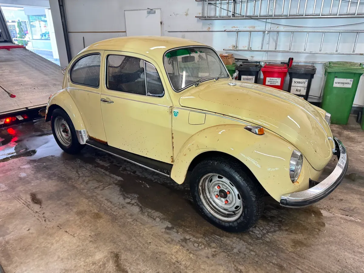 Volkswagen Käfer