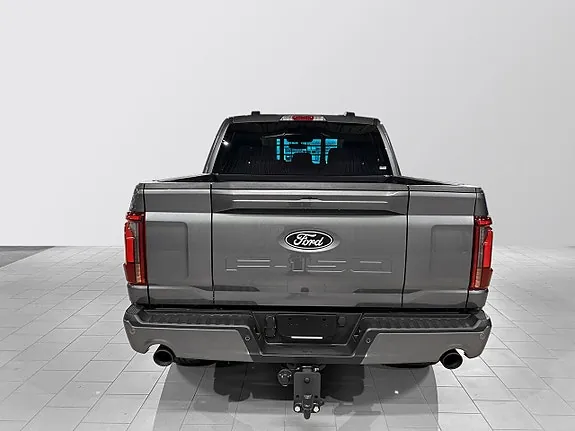 Ford F-150 2025 photo 4