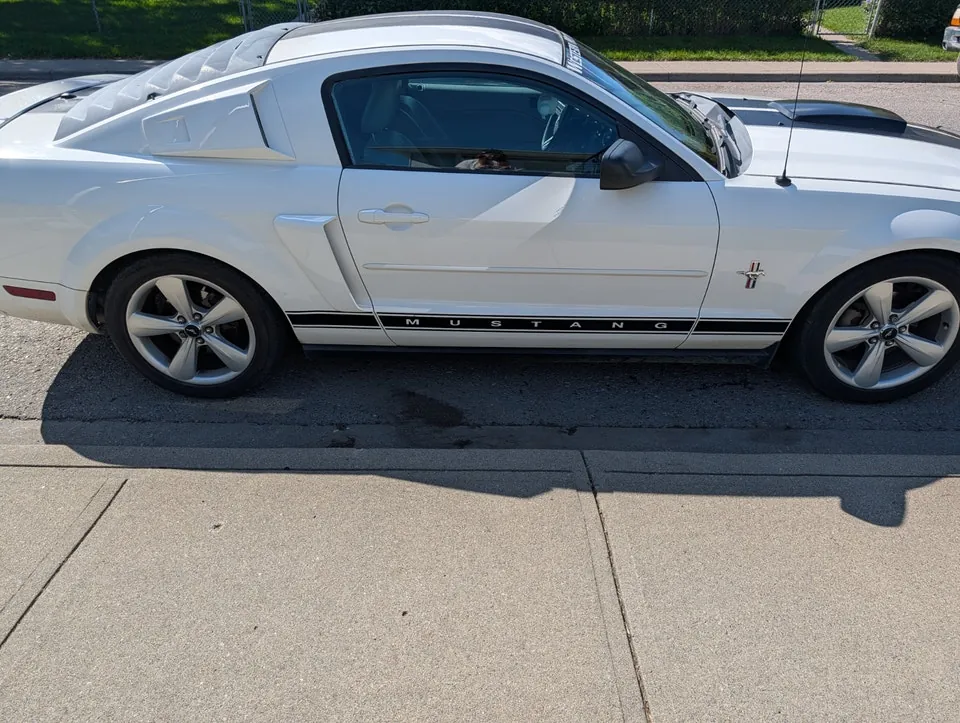 Ford Mustang 2007 photo 3