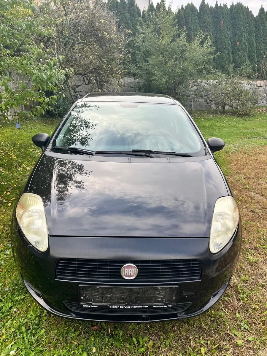 Fiat Punto 2010 photo 3