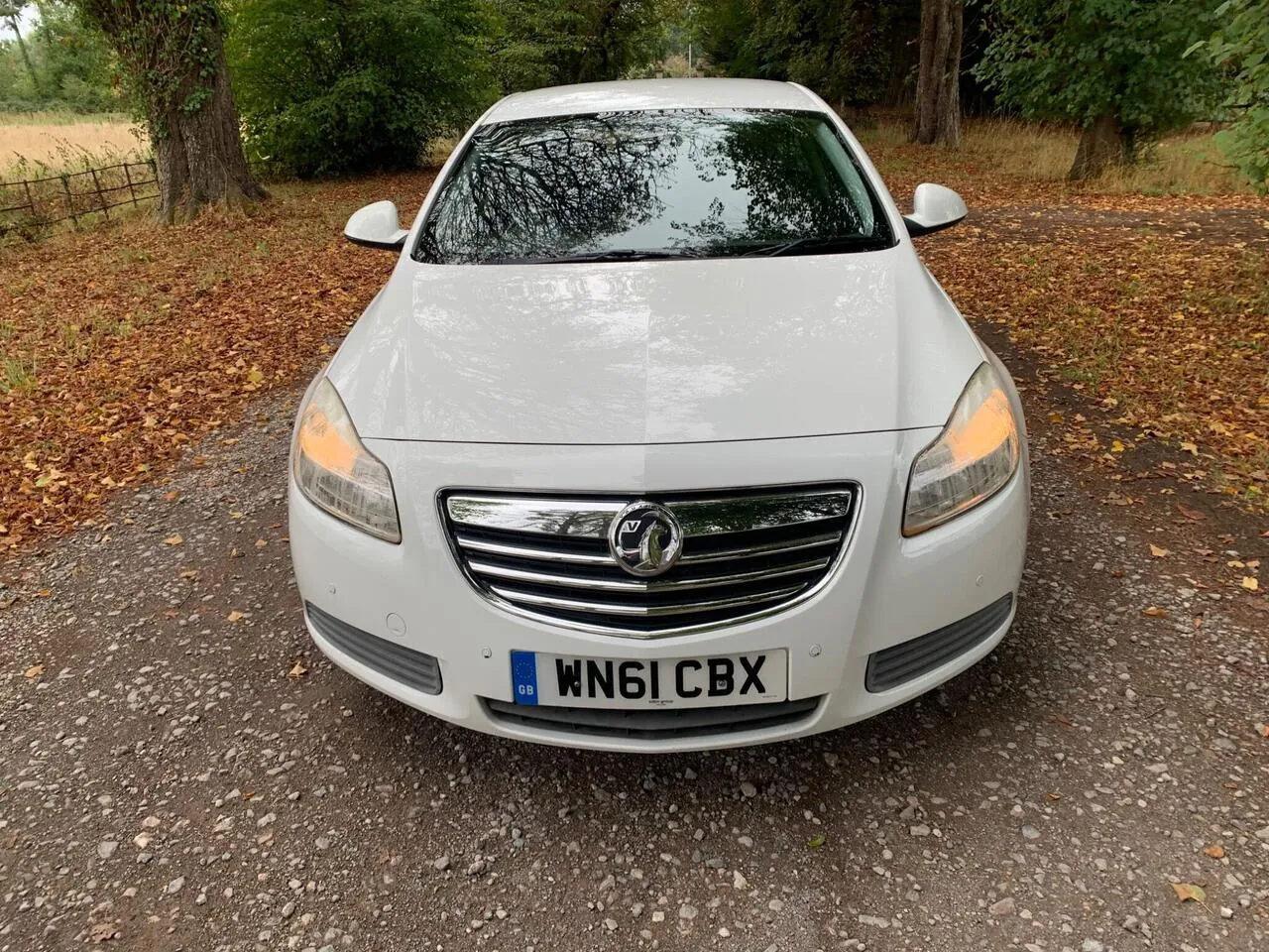 Vauxhall Insignia 2011 photo 2
