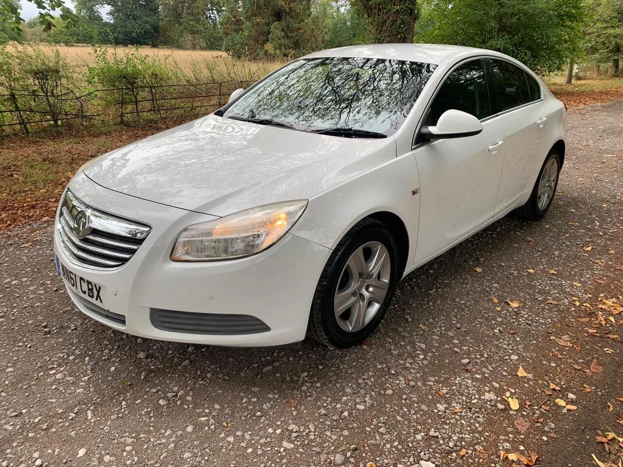 Vauxhall Insignia