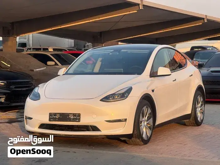 Tesla Model Y 2023 photo 3