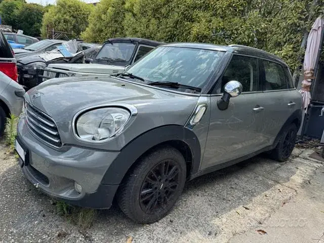 Mini Mini Countryman