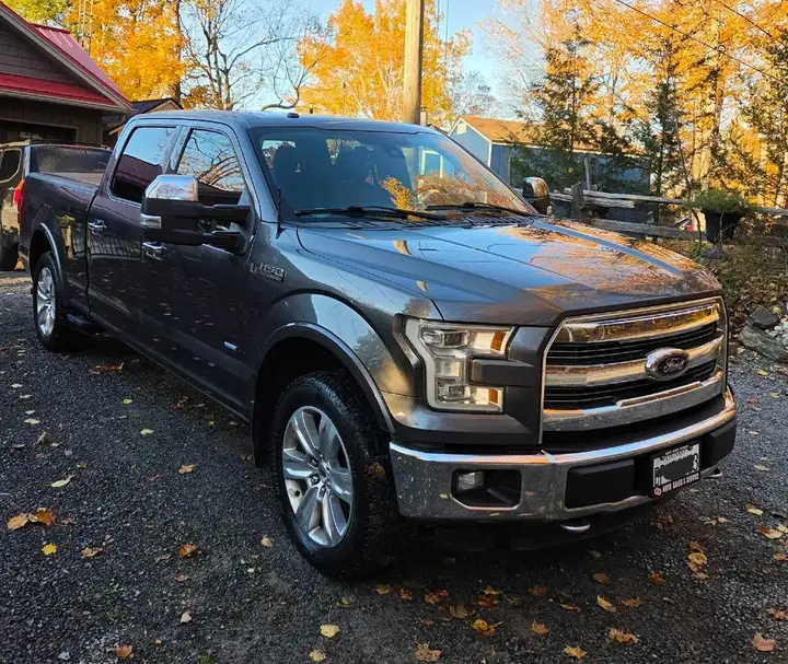 Ford F-150 2016 photo 3