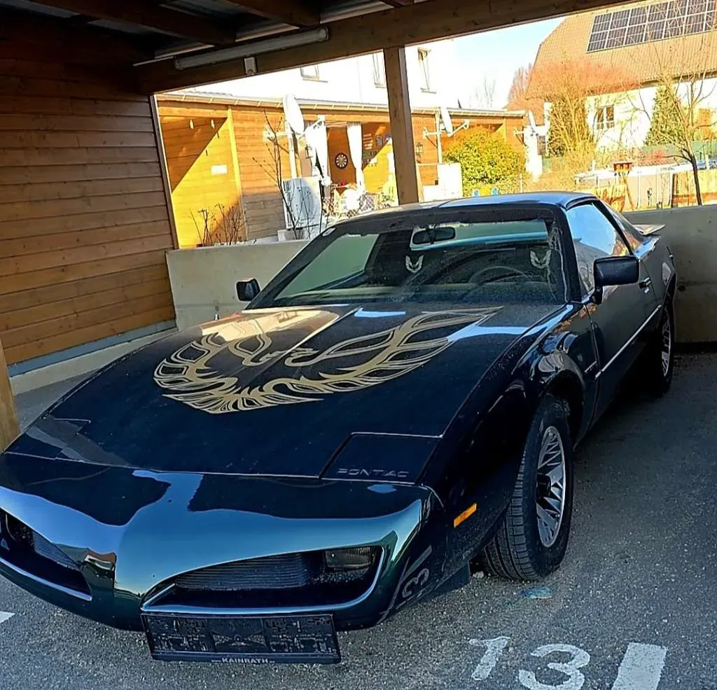 Pontiac Firebird 1991 photo 3