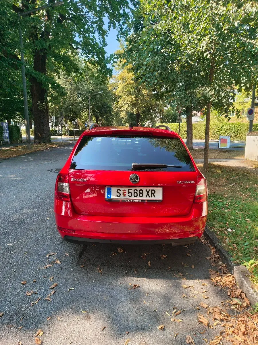 Skoda Octavia 2017 photo 3