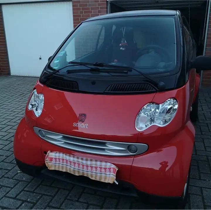 Smart Mc 01