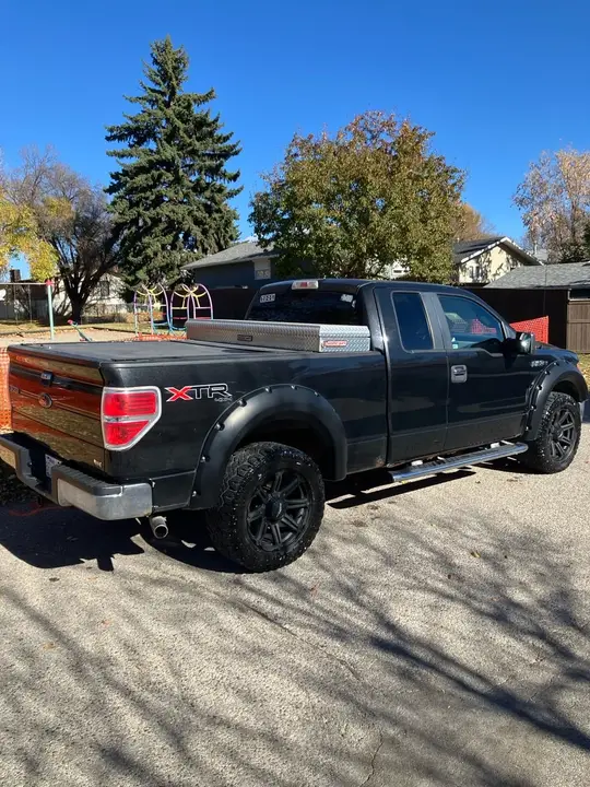Ford F-150 2010 photo 3