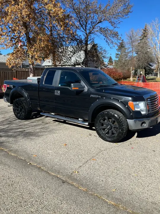 Ford F-150 2010 photo 2