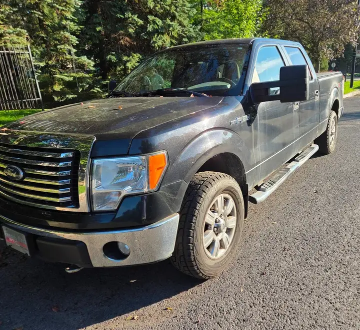 Ford F-150 2010 photo 4