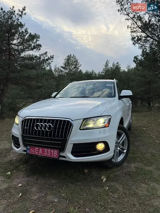 Audi Q5 2013 photo 2