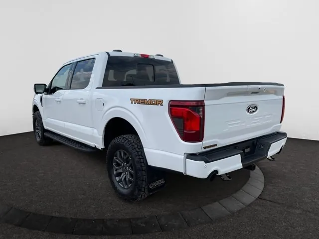 Ford F-150 2026 photo 3