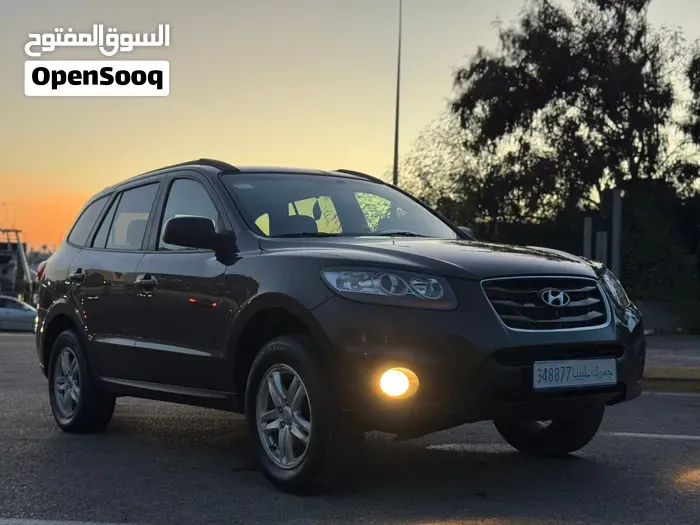 Hyundai Santa Fe 2011 photo 2