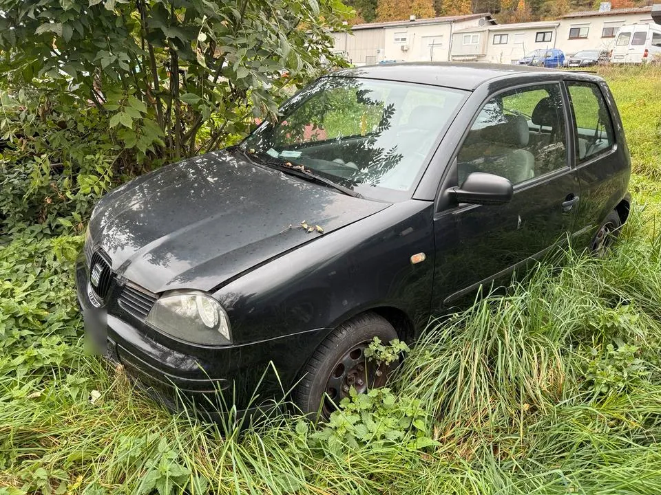 Seat Arosa