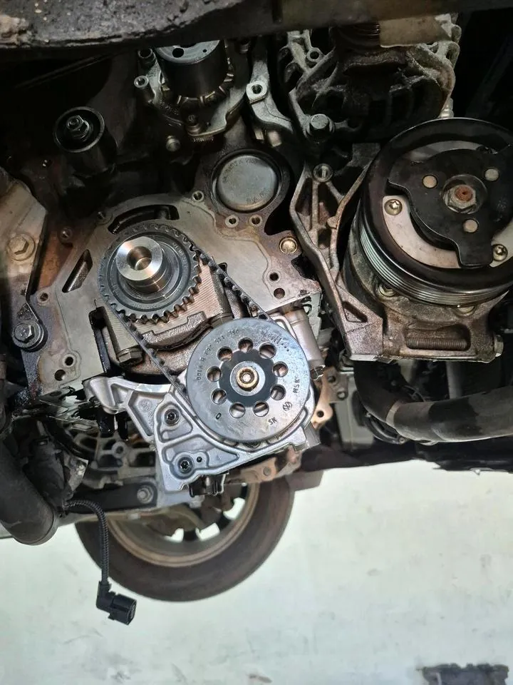 Volkswagen Zahnriemen