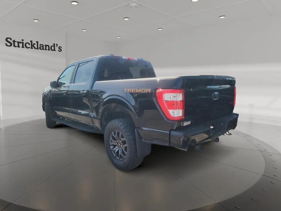 Ford F-150 2022 photo 4