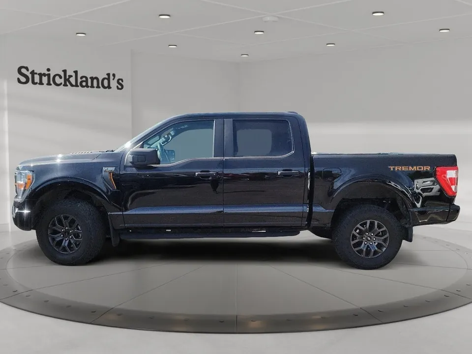 Ford F-150 2022 photo 5