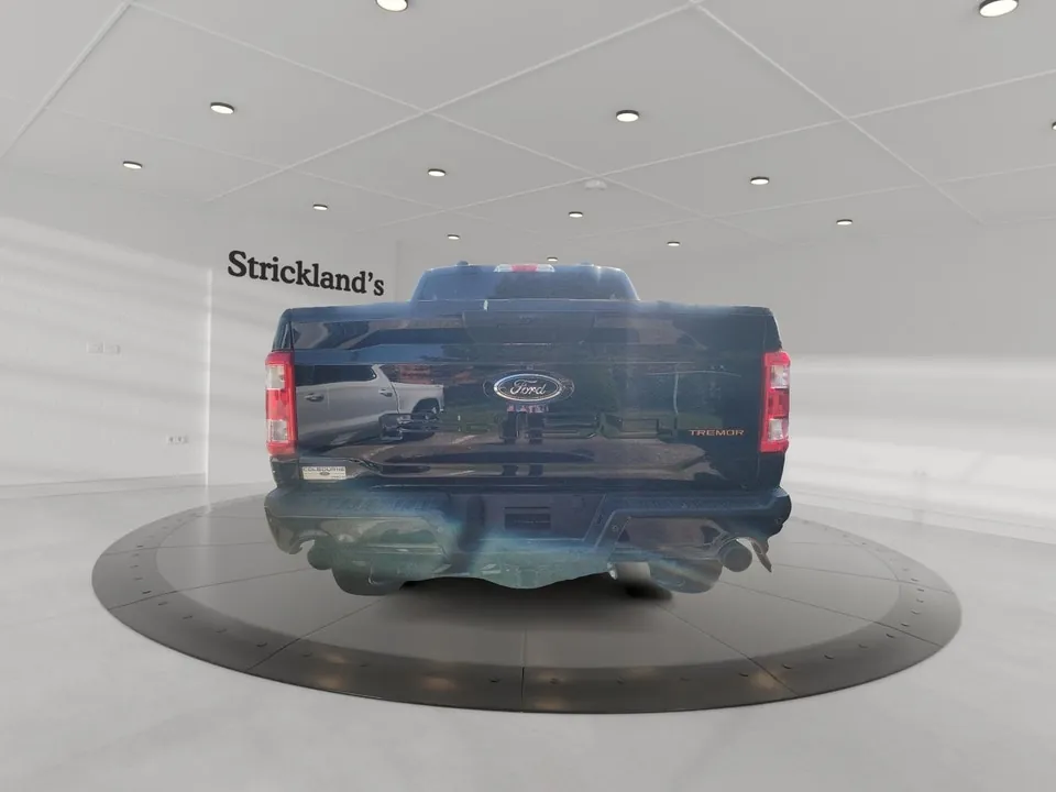 Ford F-150 2022 photo 3