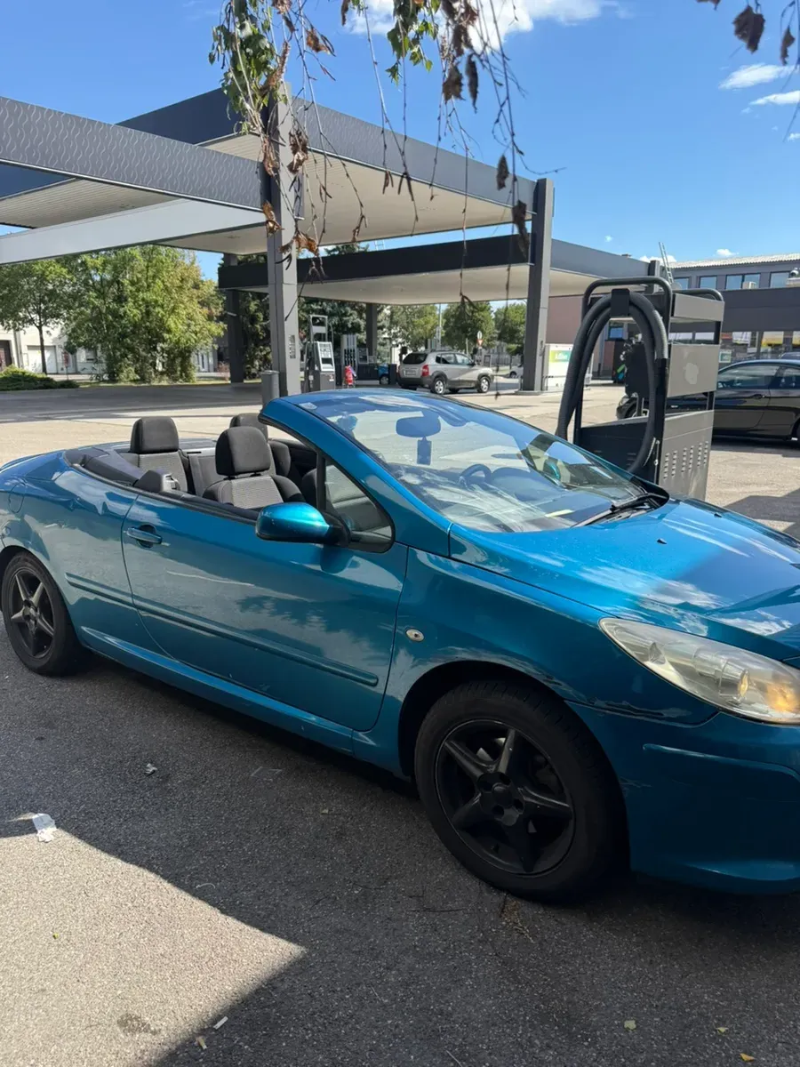 Peugeot 307 2007 photo 3